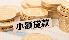 成都21空放-成都21个人短借-成都21身份证小额贷款
