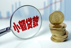 成都21哪里可以小额贷款-成都21哪里有民间借贷-成都21民间短期私借借款
