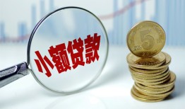 成都21哪里可以小额贷款-成都21哪里有民间借贷-成都21民间短期私借借款